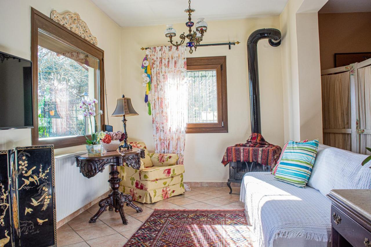 Sofia'S House Apartment PalaiónTsiflíkion Екстериор снимка