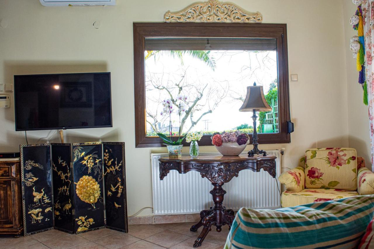 Sofia'S House Apartment PalaiónTsiflíkion Екстериор снимка